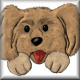chiens
