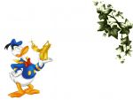 donald