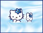 kitty