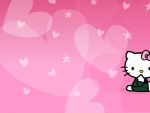 kitty