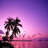 paysage
