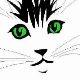 chat
