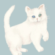chat